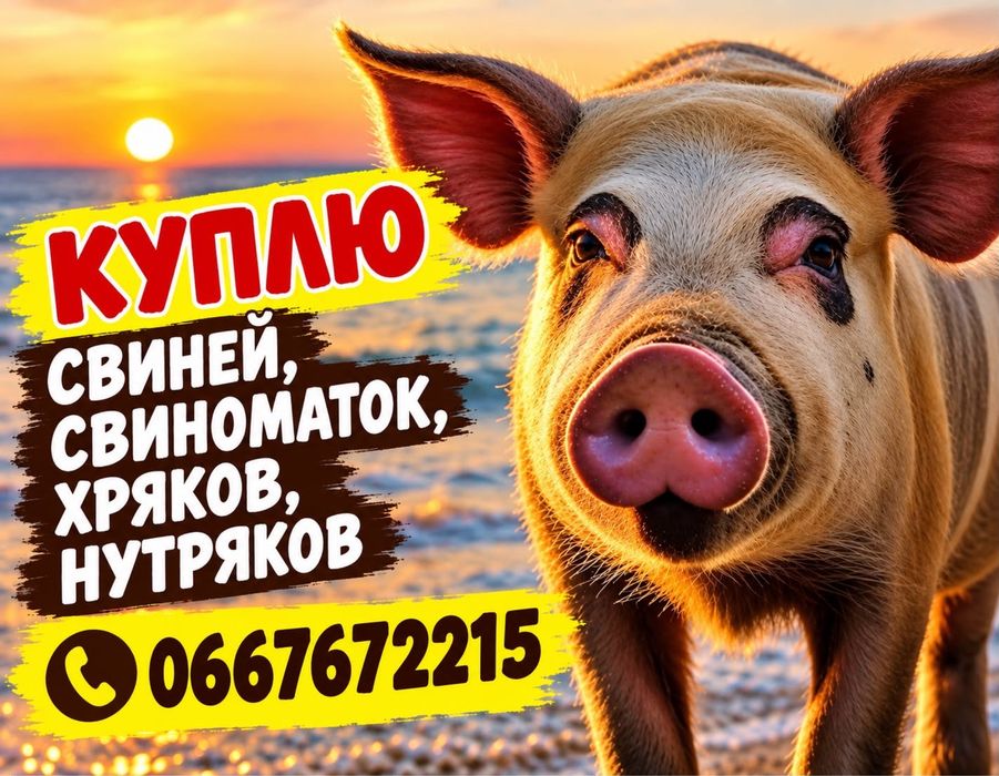 Хряк свиноматка дорез