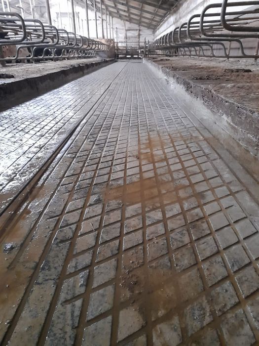 Nacinanie posadzek oraz ruszt betonowych, frezowanie obory, obora.