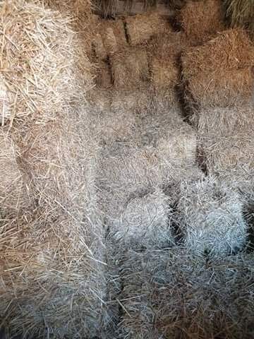 Sprzedam słome 2025