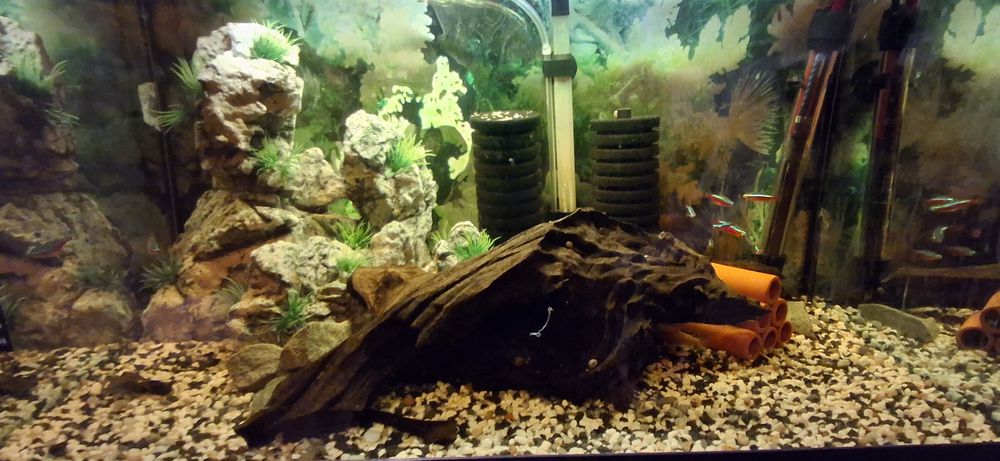 Sprzedam akwarium 70l