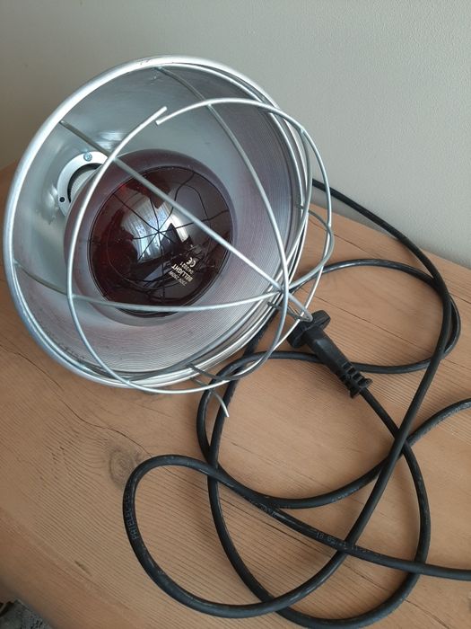 Promiennik ciepła z żarówka dla zwierząt nowy