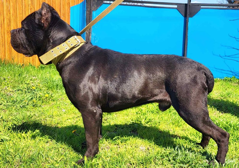 Хлопчик чекає зустрічі