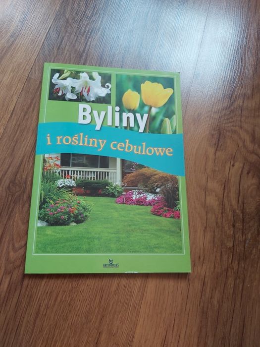 Byliny i rośliny cebulowe