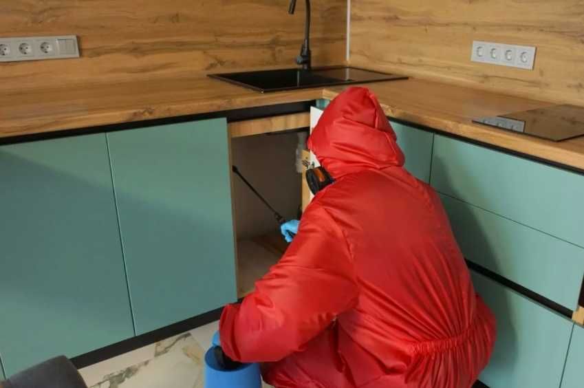 Обробка від тарганів та клопів дезінфекція квартир приміщень Гарантія