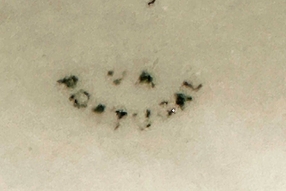 Conjunto de peças Vista Alegre pintadas à mão do século 19 (XIX)