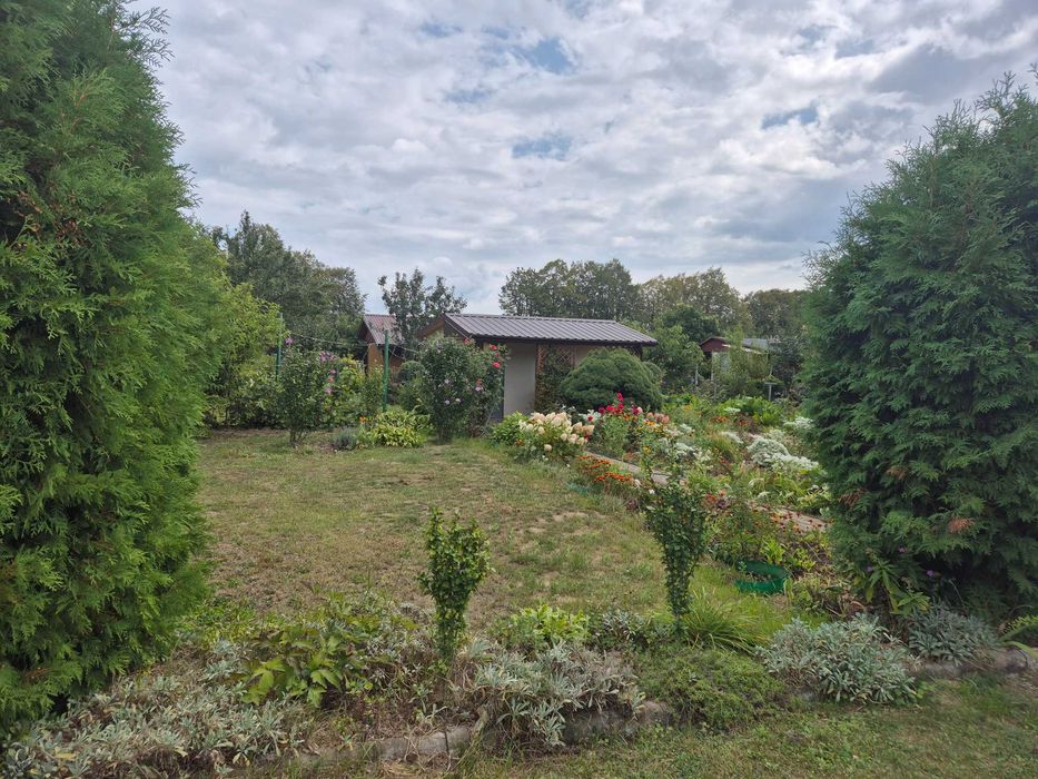 Działka w Rodzinnych Ogrodach Działkowych - Widok 2