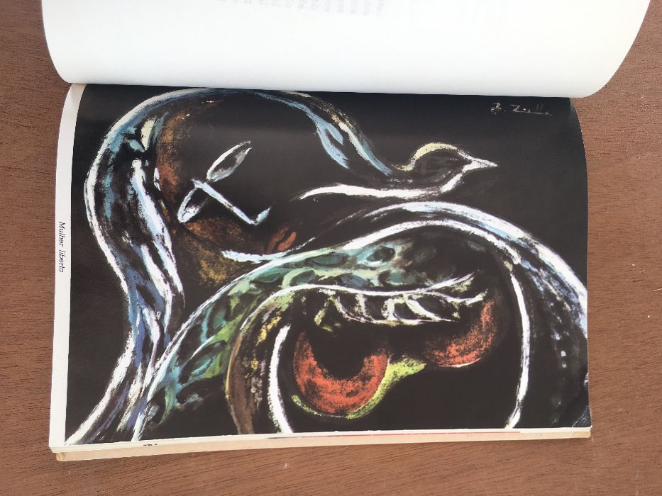 Poesia...sem distanciação - Alexandre Castanheira