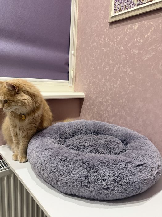 Лежанка пухнаста для собаки або кота