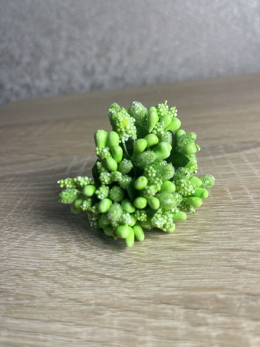 Тичинки на гілці