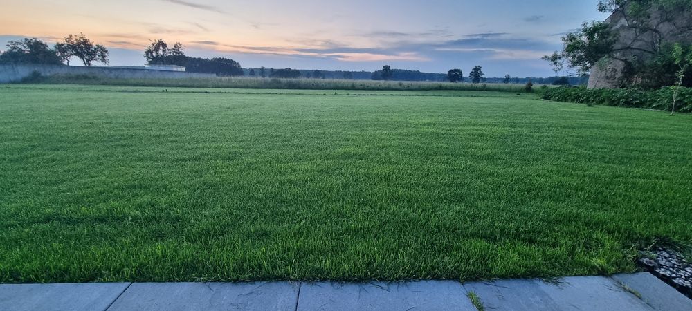 Usługi ogrodnicze, ogrodnik, systemy nawadniania, oświetlenie ogrodów, wertykulacja, trawa z rolki