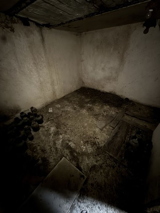 РОЗСТРОЧКА, Гараж, гараж в ГК9а, гараж в Олександрії, ВЕЛИКИЙ ПОГРІБ