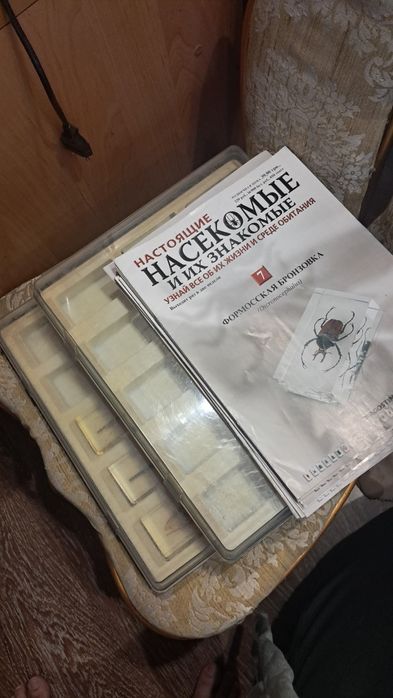 Коллекция насекомых.Коробка для насекомых. З