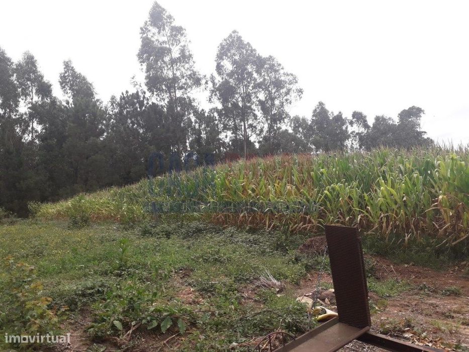 Terreno de construção em Balasar- Póvoa de Varzim