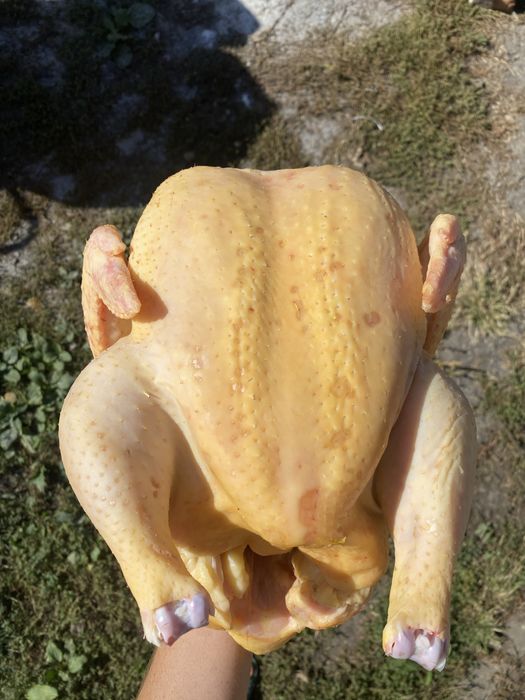 Смачний домашній бройлер