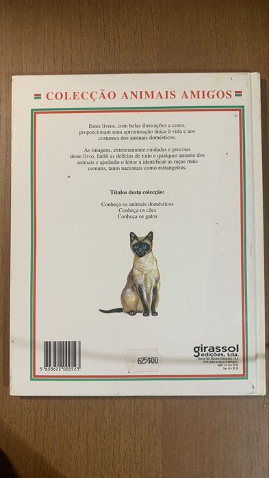 Conheça os gatos - girassol