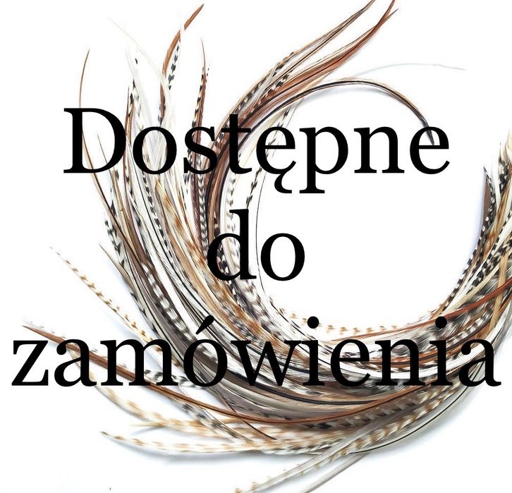 Piórka do włosów 5 szt kogucie zestaw przedłużanie włosów Balmain