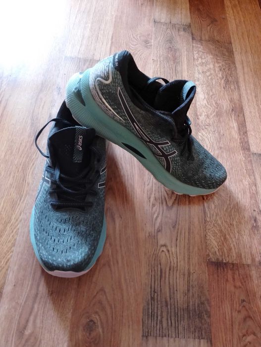 Кросівки ASICS Gel-nimbus 24