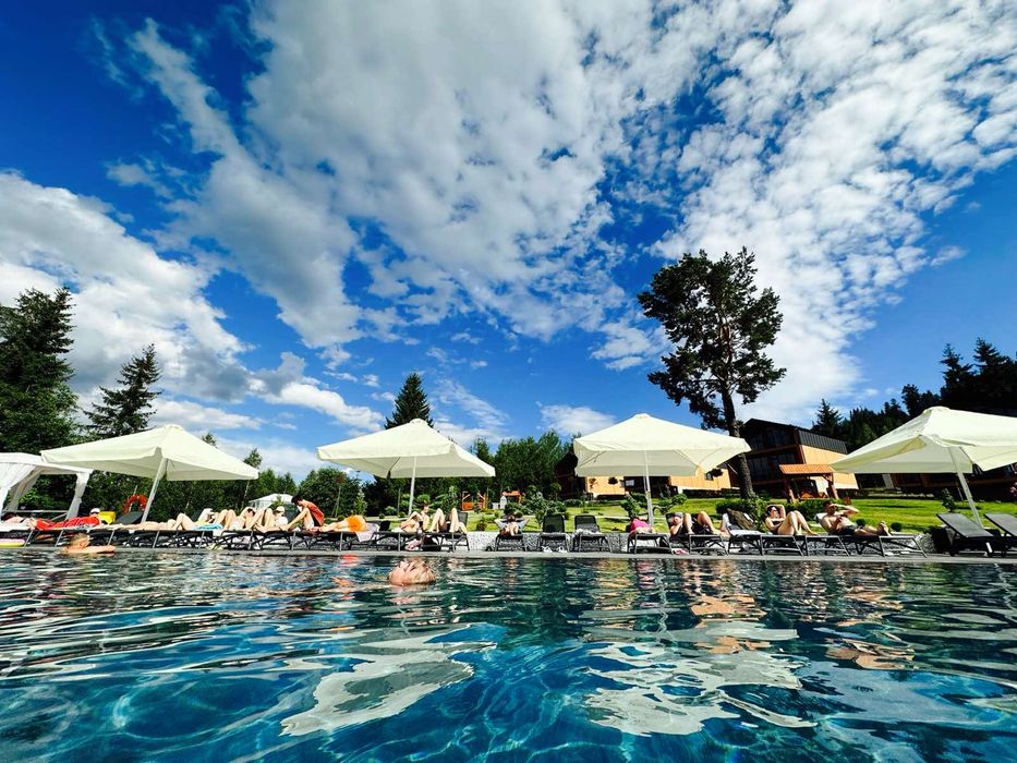 Phoenix Фенікс Буковель котедж-ефективна інвестиція!