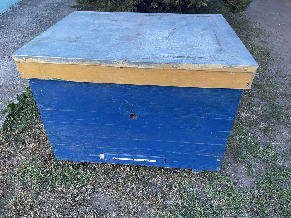 Вулик лежак 16 рам