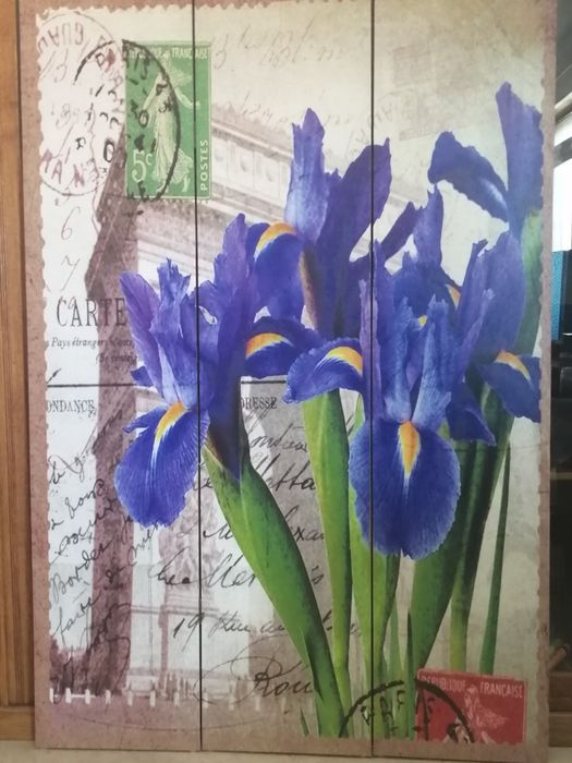 Biombo 2 faces c Lirios e rosas