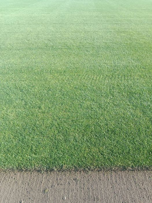 Рулонний газон.Доставка.Укладка.Озеленення.Автополив.