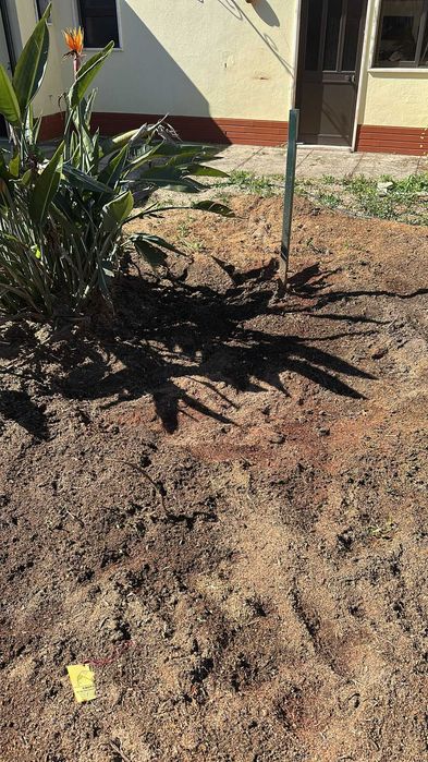Triturador de cepos - Destroçador / Destoconadora - remoção de troncos / Tree stump grinder