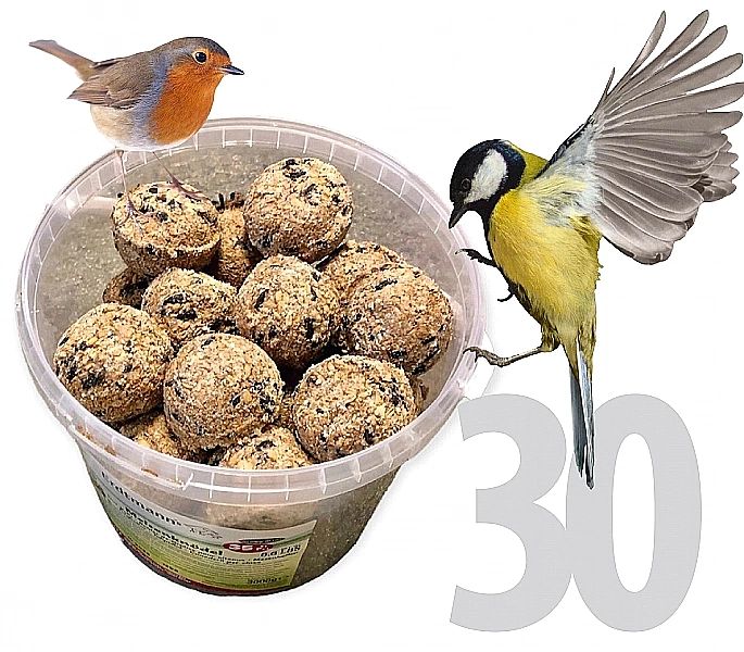 Kule Zimowe Tłuszczowe Champi 30 Karma Wiaderko 30X Kul