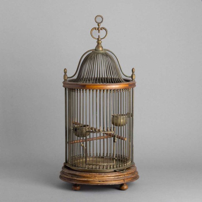 Gaiola de suspensão