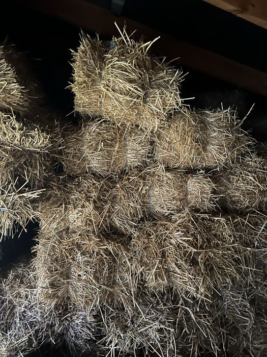 Солома в тюках 1шт-70 грн