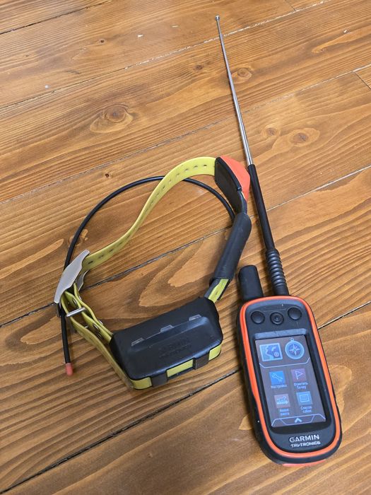 Garmin alpha 100