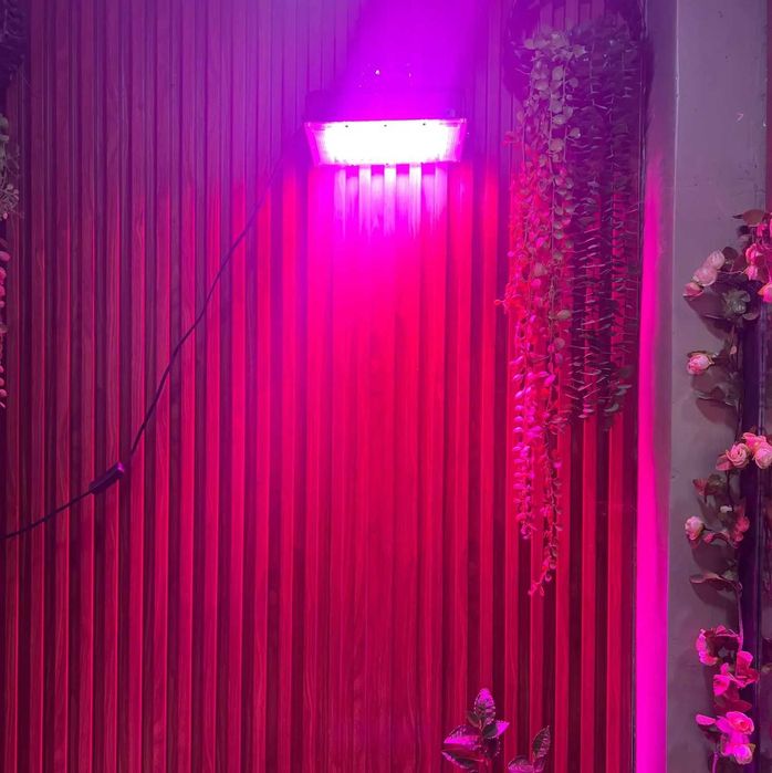 Мощная садовая Фитолампа полного спектра 300 Вт LED Grow для растений