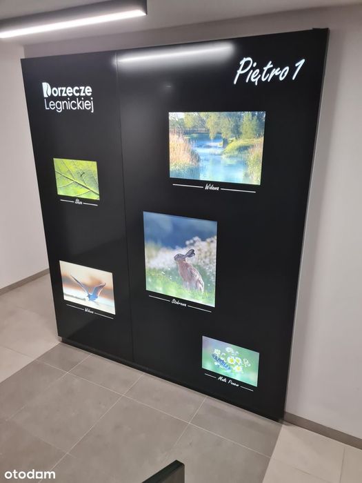 Nowoczesne 2 pokoje, 37 m² | Małopanewska | Magnolia - Więcej