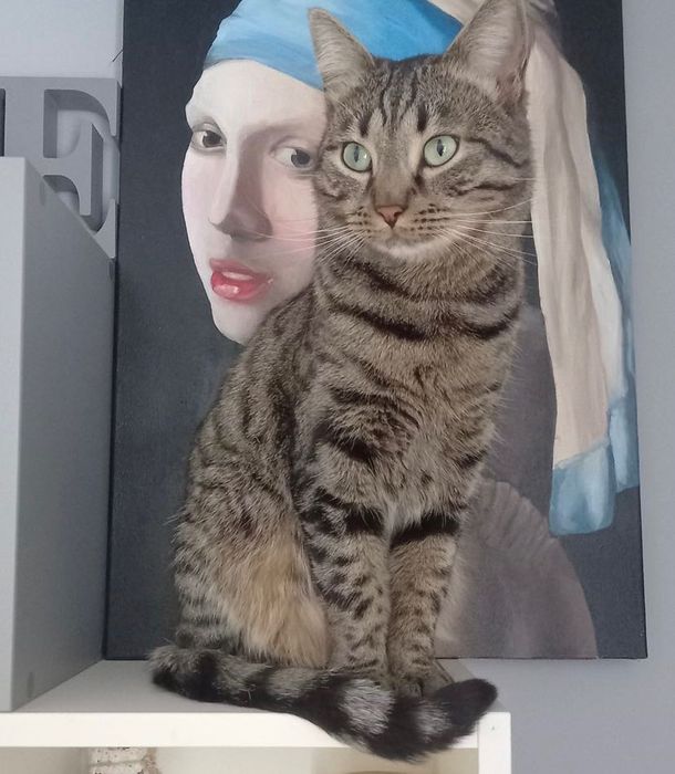 Загубилася кішка
