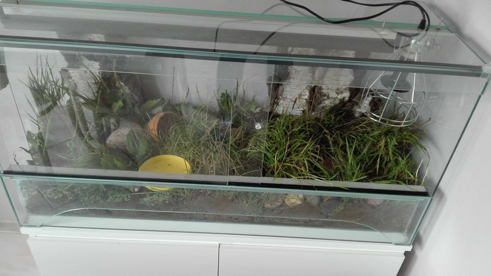 Duże terrarium z szafką i nowym promiennikiem !