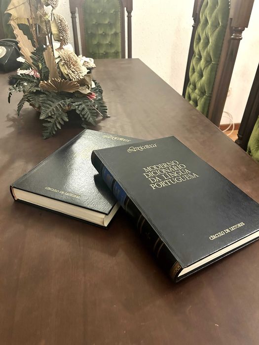 Moderno Dicionário da Língua Portuguesa (2 Volumes)