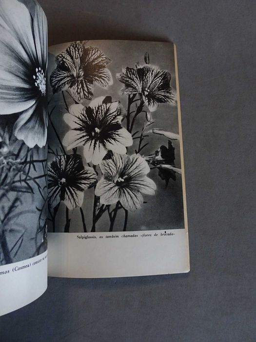 Livro O Nosso Jardim - Marques de Almieda