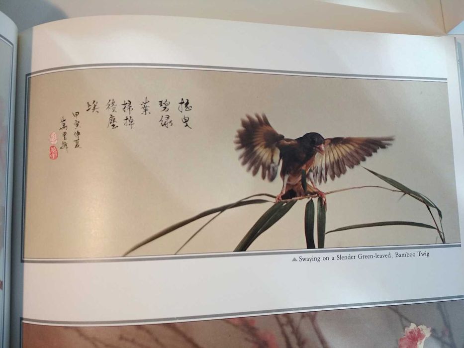 The Painterly Lens - Manly Chin (porte incluído)