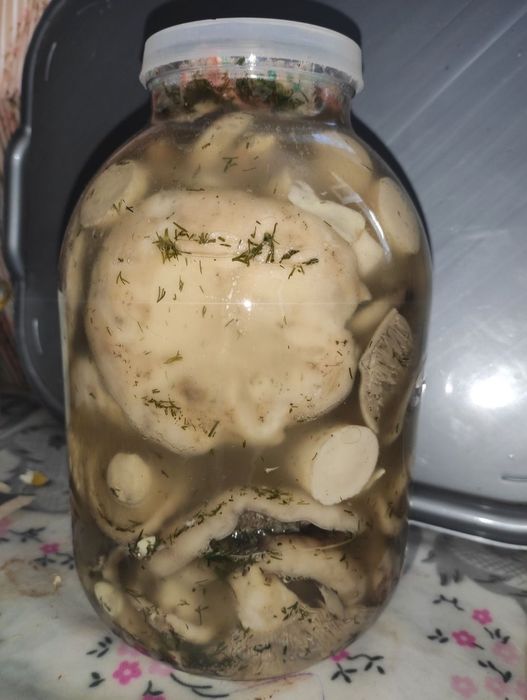 Гриби грузді квашені