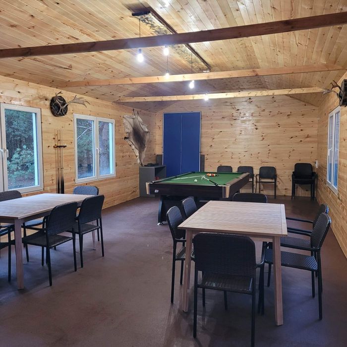 Domki z sauną  w lesie