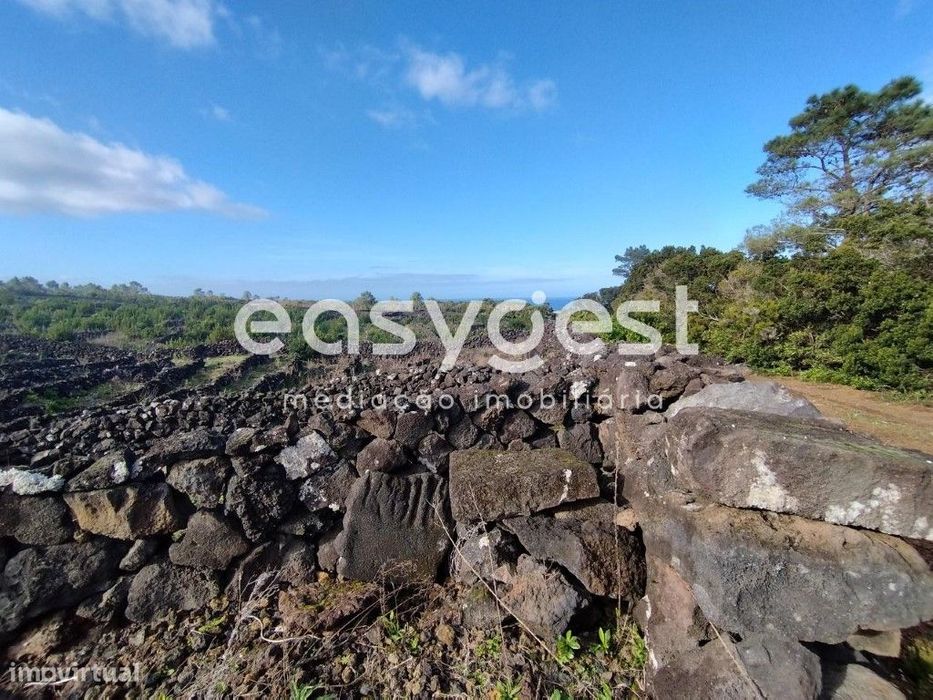Terreno no 'coração' vitivinícola do Lajido de Santa Luzia no Pico