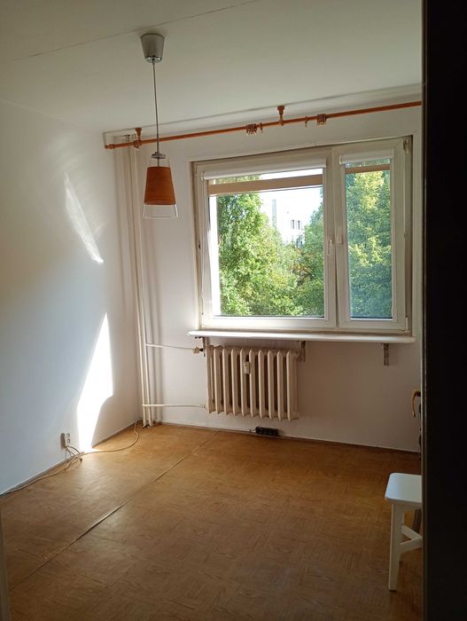 Mieszkanie w bardzo zielonej okolicy Stegien. Klimatyzacja w salonie!