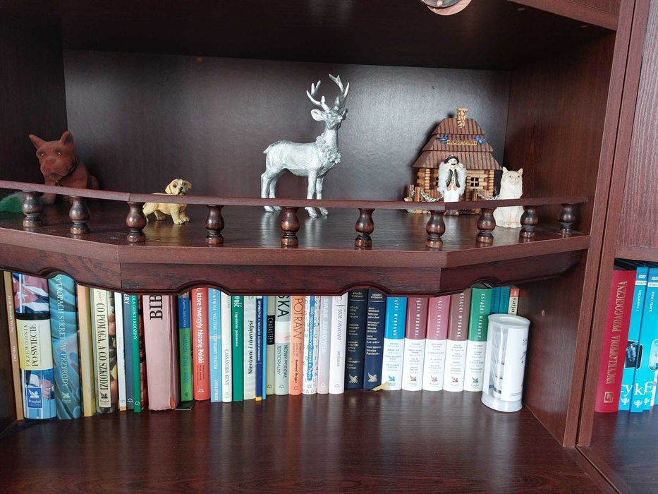 Meblościanka segment