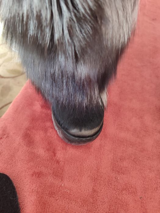 Продам зимні уги