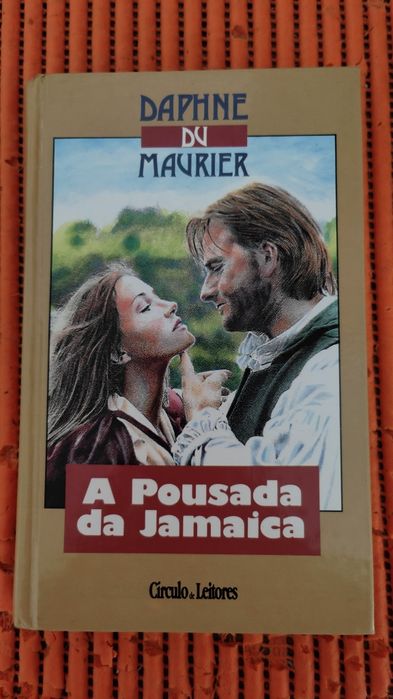 Vários livros literatura