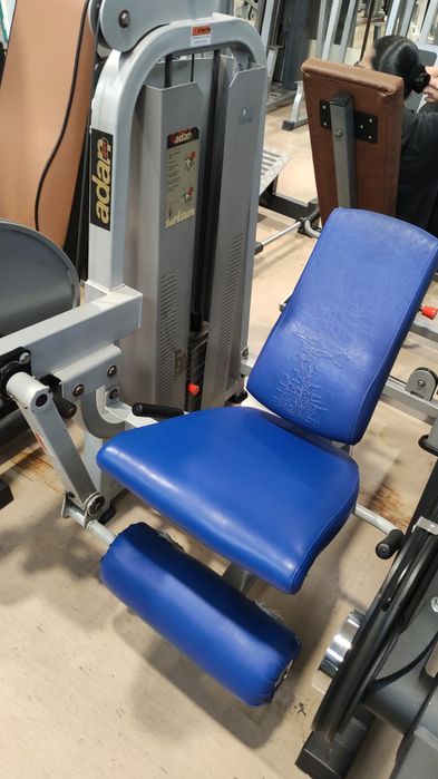 Várias máquinas Ginásio. Technogym /Adan