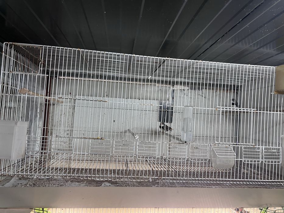 Gaiolas para aves