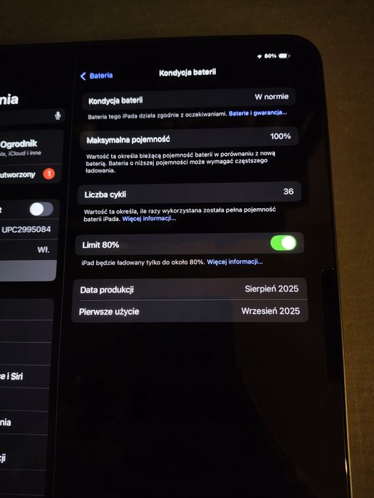 iPad Pro 11" (2024) 256 GB Wi-Fi –  100% bateria + Apple Pencil Pro