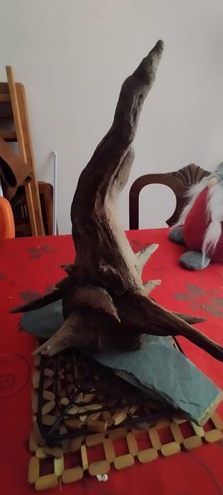 Aquario 200 LITROS Com Tudo