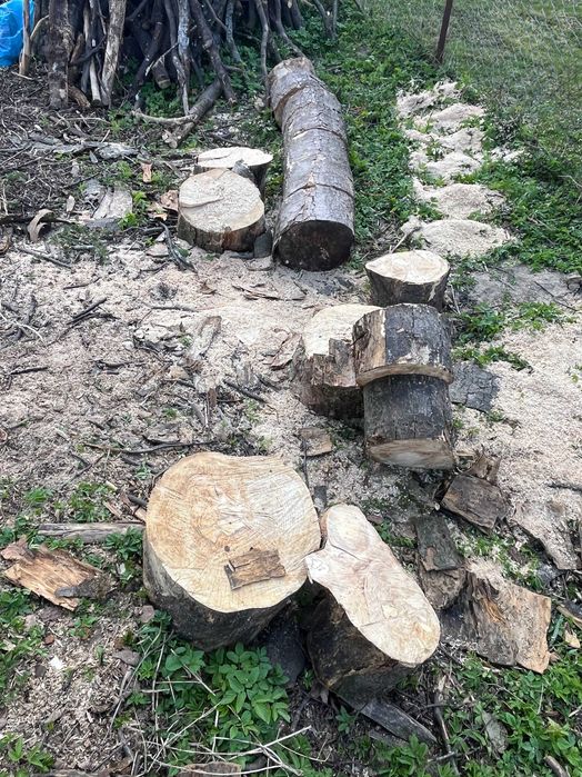 DREWNO OPAŁOWE sezonowane; klonowe oraz dębowe