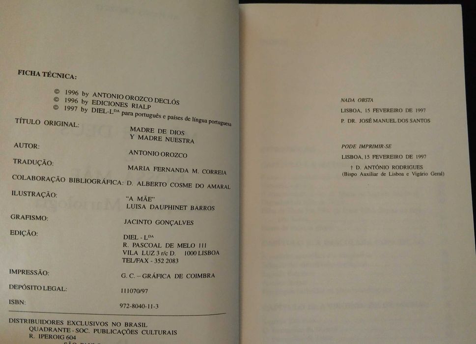 Mãe de Deus e a nossa Mãe. Iniciação Mariológica